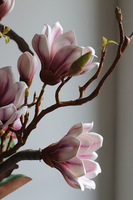 Magnolia Silveria, sztuczne drzewko w donicy