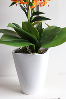 Pomarańczowa Łuna Thai, sztuczny storczyk w donicy