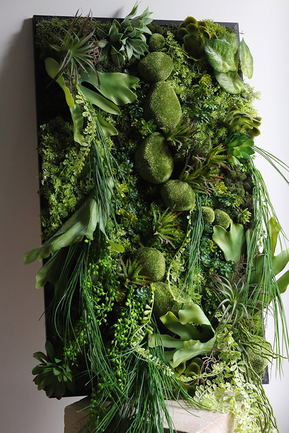 Green Hotels Eureka, czarna jednostronna rama sukulenty