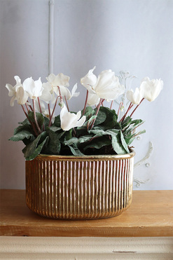 Szronione Cyklameny 3, elegancka zimowa kompozycja, wys.38cm