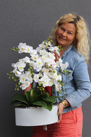 Manfredo Niagara 2, gumowy storczyk w biało-srebrnej donicy