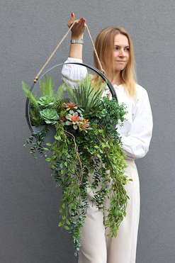 Zieleń Sukulentów C, kompozycja sukulenty w donicy wiszącej, śr.45cm