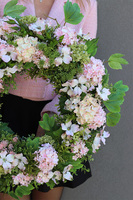 Kalina Light Pink, wiosenny wianek na drzwi