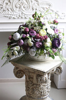 Violet Bellatia, kompozycja kwiatowa