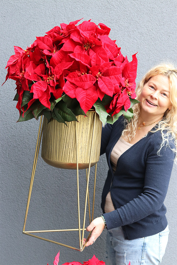 Gwiazda Betlejemska Goldena Większa, wysokiej jakości sztuczna roślina, wym. 96x47cm