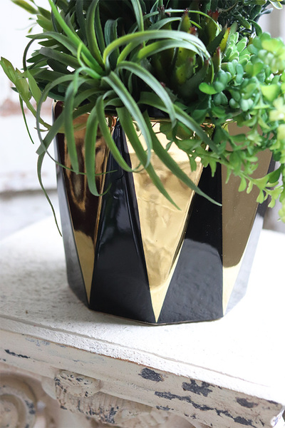 Cacti Black&Gold, sukulenty z kaktusem w czarnej donicy, wys.67cm