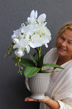 Apolonia Perane, storczyk w ceramicznym pucharze, wys.52cm