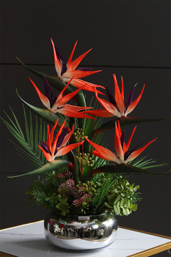 Strelicja Pompadour, egzotyczna kompozycja w szklanej misie, wys.55cm 