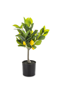 Lemon, sztuczne drzewko cytrynowe, wys.50cm 