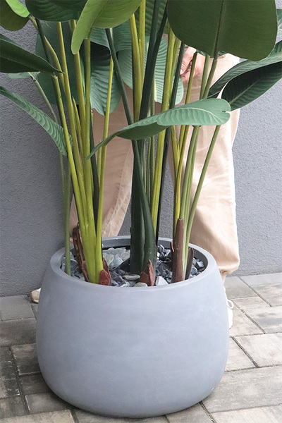 Bananowiec Concrete Bowl sztuczna roślina w donicy