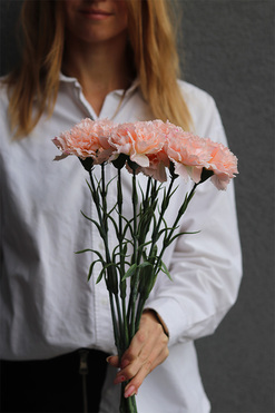OD RĘKI Cloves Lux, bukiet kwiatów goździki, 7szt, łosoś, dł.49cm