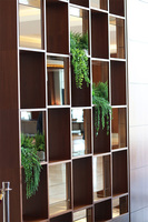 Hilton Green, kompozycja sukulenty w srebrnej donicy