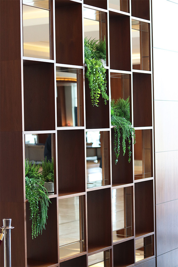 Hilton Green, kompozycja sukulenty w srebrnej donicy