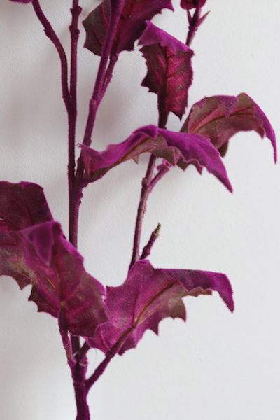 gałązka sztuczna roślina