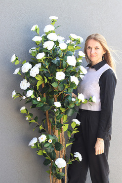 Kamelia, sztuczne drzewko, wys.180cm 