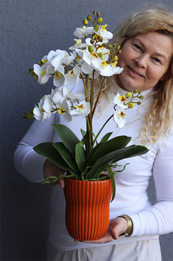 Ceglana Aleja, gumowy storczyk w pomarańczowej donicy, wys.61cm  