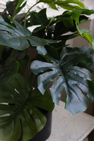 Monstera sztuczne drzewko w osłonce