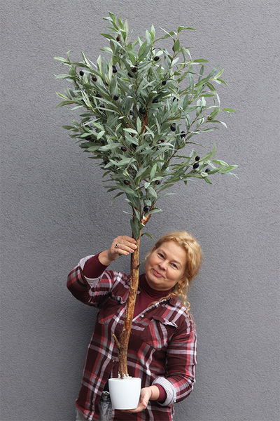 Oliwka New 2, sztuczne drzewko w osłonce