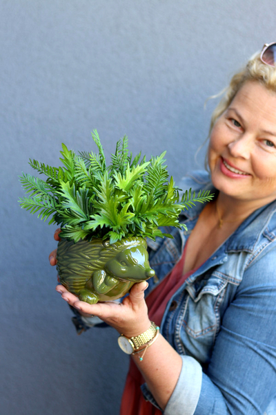 Jeżyk Fern, kompozycja z paprocią w naczyniu