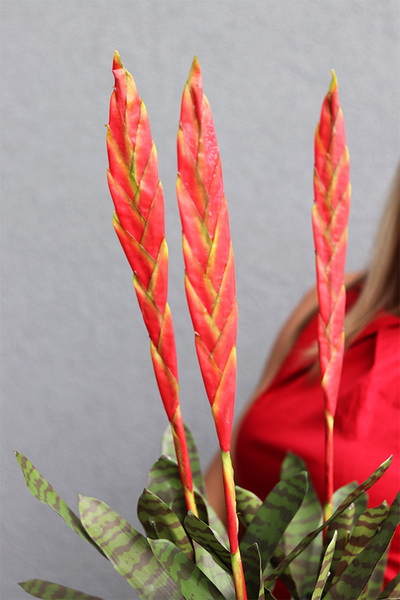 Bromelia Pistacio, sztuczna roślina w doniczce