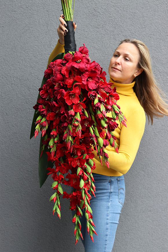 Mieczyki Czerwień, bukiet nagrobny do położenia