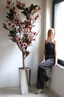 Magnolia Silveria, sztuczne drzewko w donicy