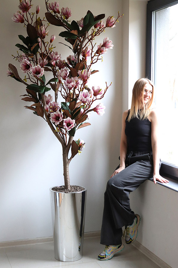 Magnolia Silveria, sztuczne drzewko w donicy