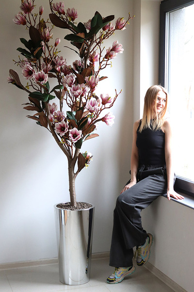 Magnolia Silveria, sztuczne drzewko w donicy