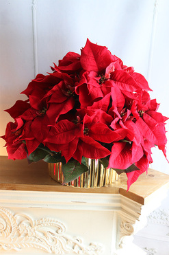 Gwiazda Betlejemska Goldeo 2, wysokiej jakości sztuczna roślina, wym.50x52cm