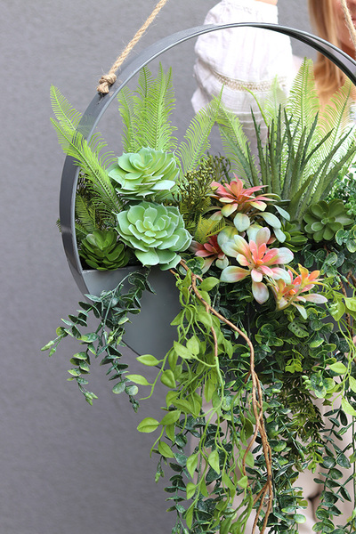 Zieleń Sukulentów C, kompozycja sukulenty w donicy wiszącej