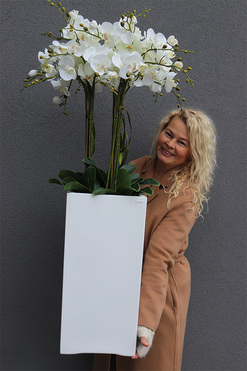 Simple Grande Fiberglass, storczyk w białej donicy z fiberglass, wys.129cm 