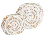 boho wazon 1 Muszla, wym.38x7.5x32cm