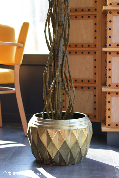 Fikus Benjamin G Gold, sztuczna roślina w złotej donicy