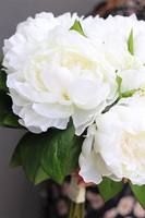 Aura, bukiet kremowych peonii, wys.38cm 