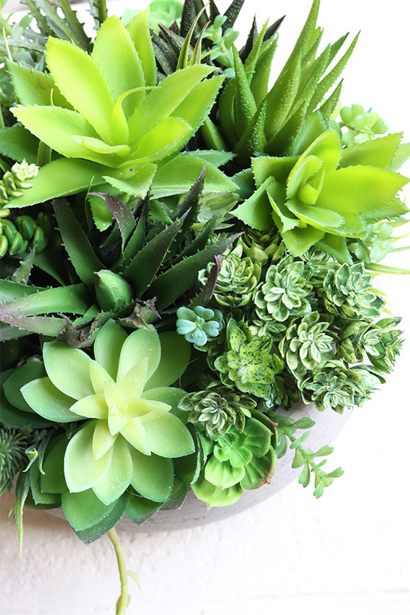 Hefra, kompozycja sukulenty w donicy klienta, wym.20x35cm 