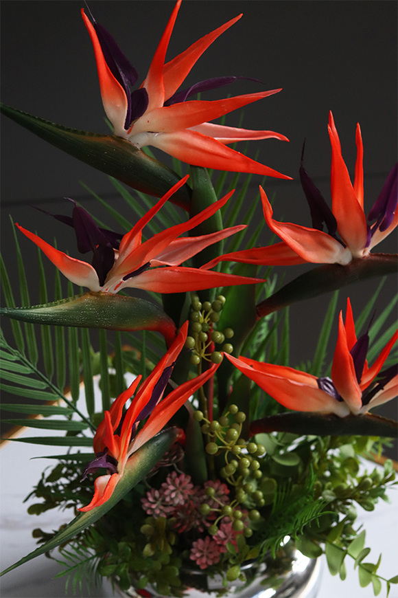 Strelicja Pompadour, egzotyczna kompozycja w szklanej misie