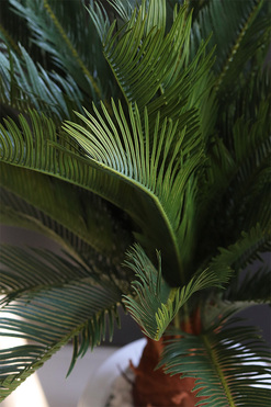 Cykas Fiberglass White, sztuczna roślina w donicy, wys.92cm