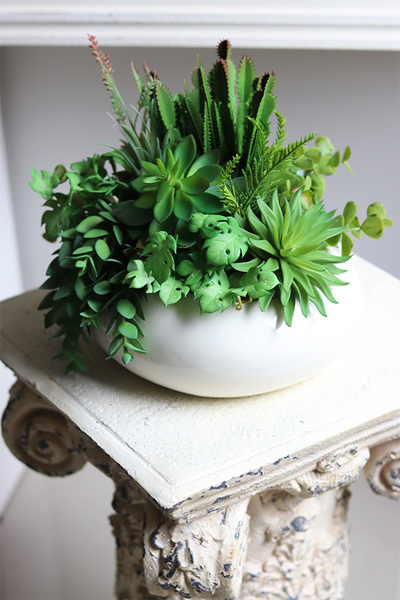 Gessa, kompozycja z sukulentów