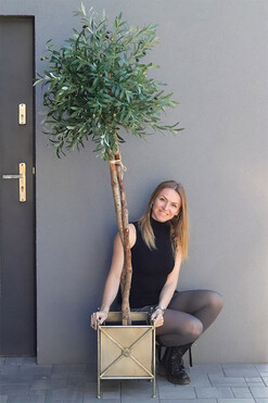 Oliwka Provance 2, sztuczne drzewko w metalowej donicy, wys.200cm