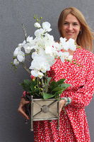 Silver Como, sztuczny storczyk w donicy na stojaku