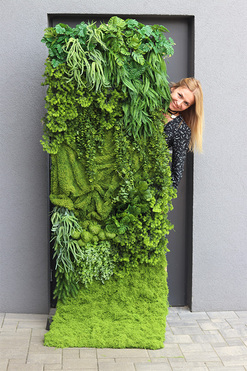 Greeneta Krellte, ścianka jednostronna ze sztucznych roślin, wym.240x80cm