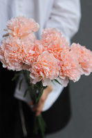  Cloves, bukiet kwiatów goździki