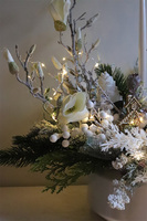 White Carol Lux, zimowa kompozycja w osłonce