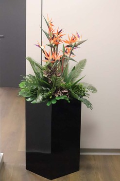 Strelicja Królewska Modern, sztuczna roślina w donicy fiberglass, wys.160cm
