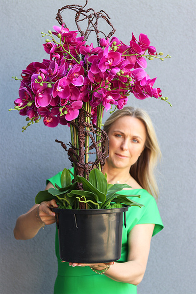 Gizelle storczyk fuksja w Twoim wkładzie