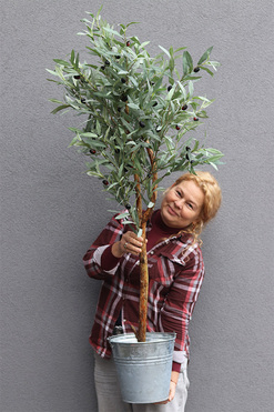 Oliwka Provance, sztuczne drzewko w metalowej donicy, wys.146cm