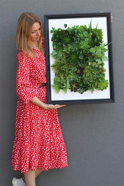 Hotels New Black Sukulenty, czarna jednostronna rama, wym.77x57cm