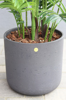 Areca Concretano, sztuczna palma w betonowej donicy
