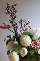 Nedulla, wysokiej jakości kompozycja kwiatowa, wym.64x60x40cm