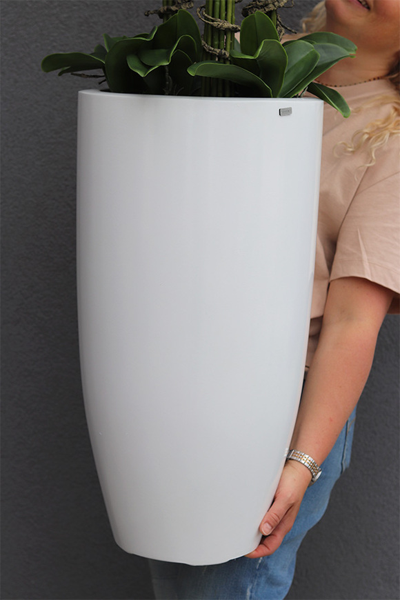 Fiberglass White Lux, efektowny storczyk w białej donicy z fiberglass, wys.118cm